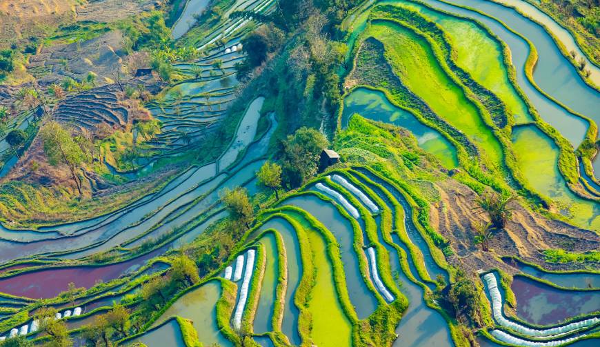 走进温州TVC拍摄：解锁本地化场景与创意镜头的完美融合